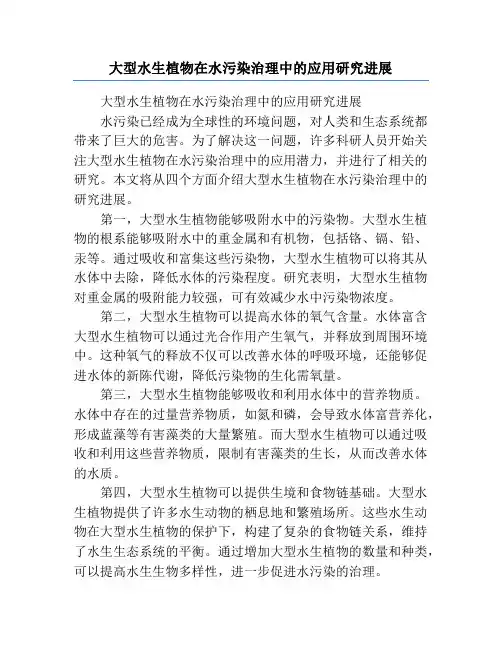 大型水生植物在水污染治理中的应用研究进展