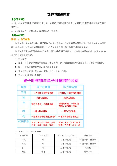 知识讲解 植物的主要类群