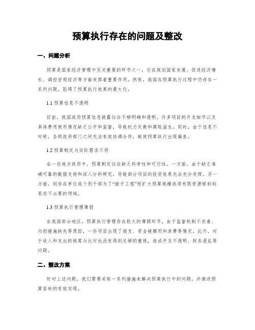 预算执行存在的问题及整改
