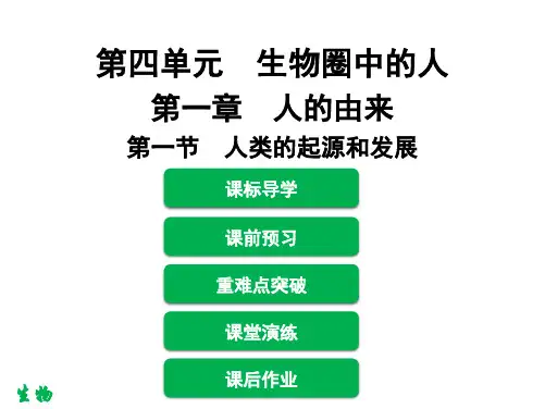 新人教版七年级下册生物第一章 第一节 人类的起源和发展课件
