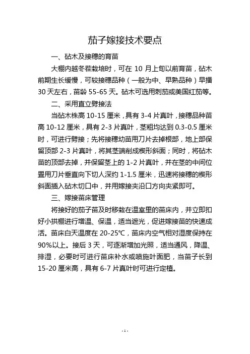 茄子嫁接技术要点           