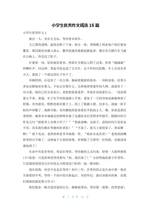 小学生优秀作文精选15篇