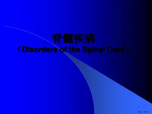 脊髓的解剖PPT课件