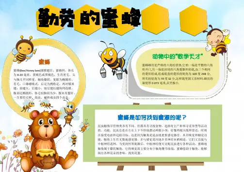 WORD小报：勤劳的小蜜蜂小报手抄报电子小报word小报 (1)