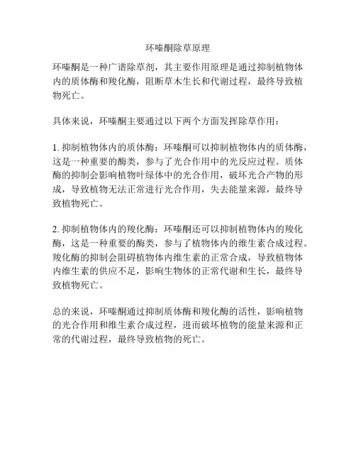 环嗪酮除草原理