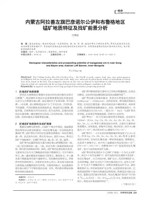 内蒙古阿拉善左旗巴彦诺尔公伊和布鲁格地区锰矿地质特征及找矿前景分析