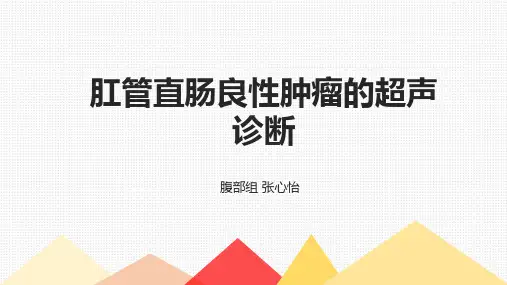 肛管直肠良性肿瘤