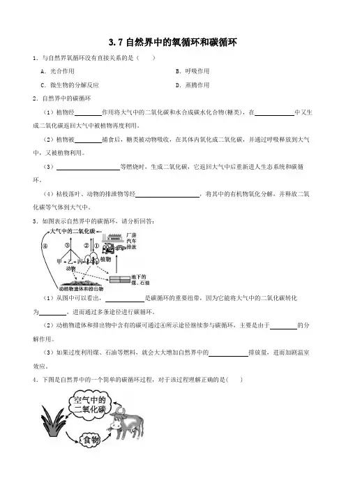3-7自然界中的氧循环和碳循环-八年级科学下(浙教版)