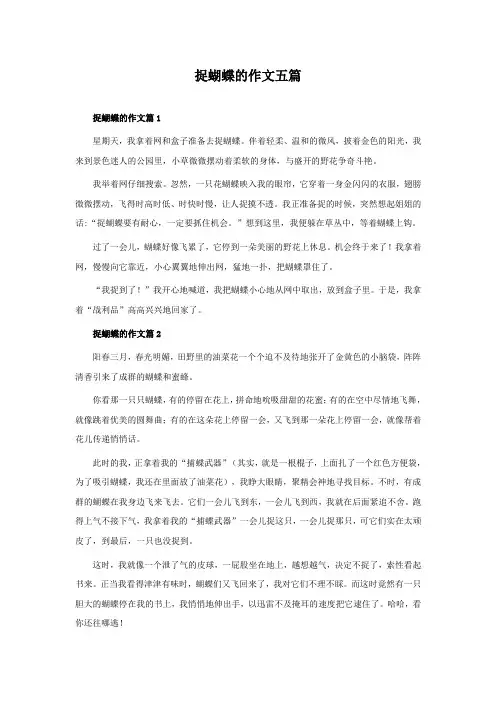 捉蝴蝶的作文五篇