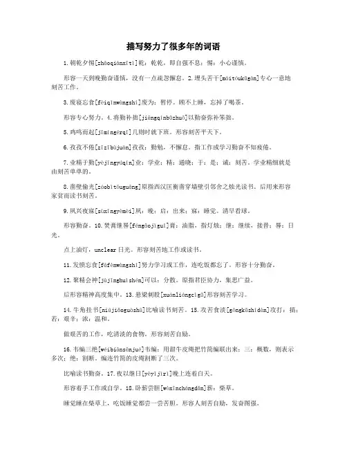 描写努力了很多年的词语