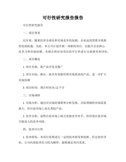 可行性研究报告报告