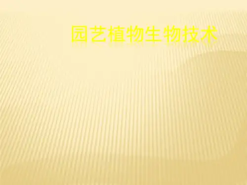 植物生物技术