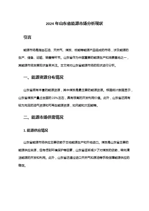 2024年山东省能源市场分析现状