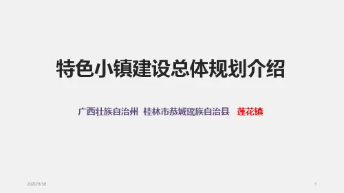 特色小镇建设总体规划介绍 PPT课件