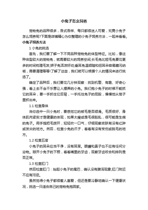 小兔子怎么饲养