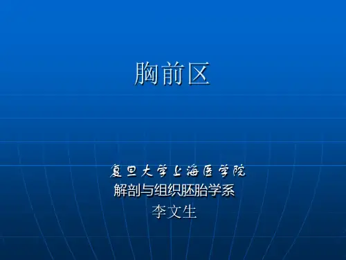 胸前区局部解剖