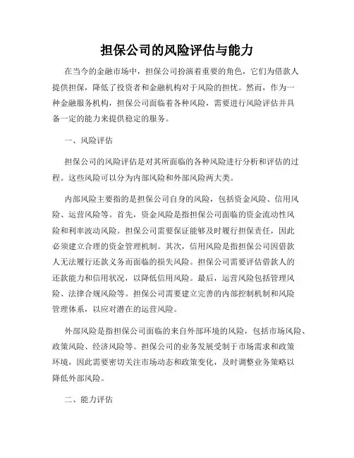 担保公司的风险评估与能力