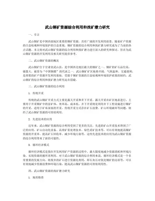 武山铜矿资源综合利用和找矿潜力研究