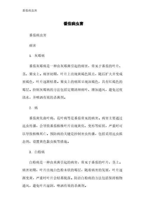 番茄病虫害