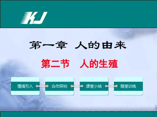 人的生殖(人教版)PPT课件2
