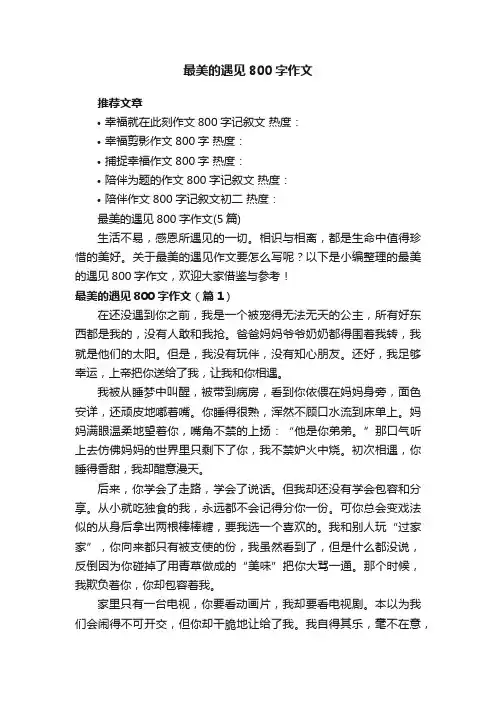 最美的遇见800字作文（5篇）
