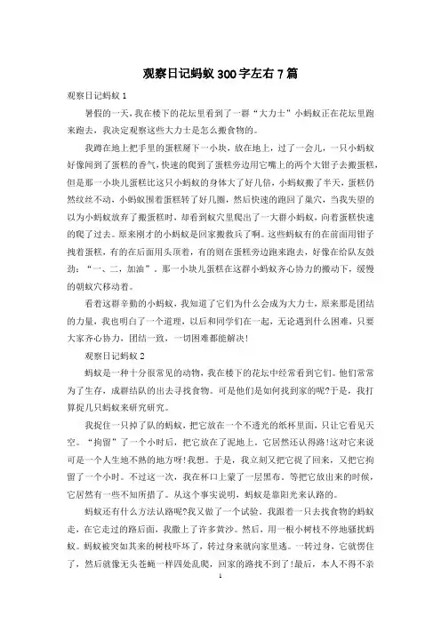 观察日记蚂蚁300字左右7篇