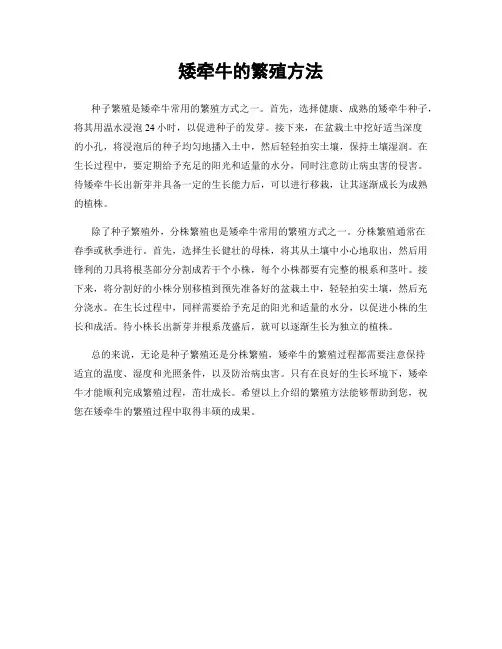 矮牵牛的繁殖方法