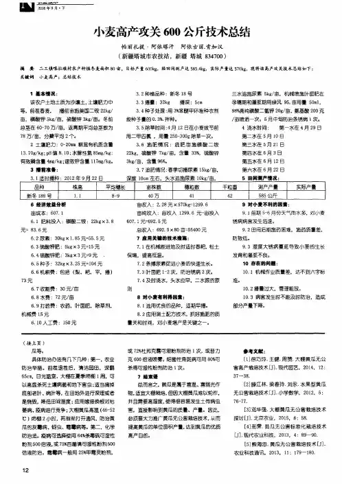 小麦高产攻关600公斤技术总结