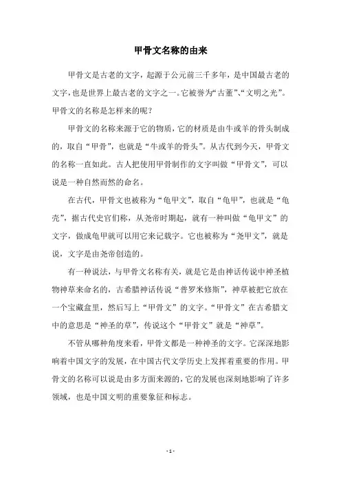 甲骨文名称的由来