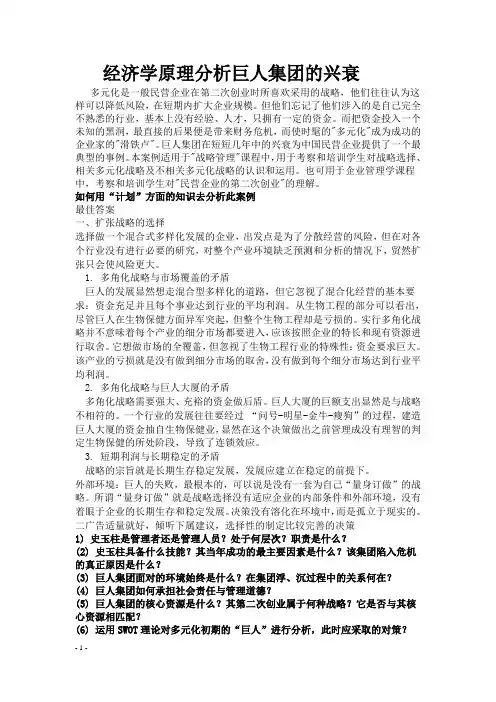 管理学巨人集团案例分析