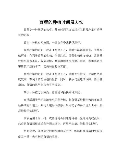 苜蓿的种植时间及方法