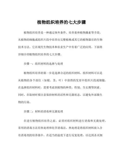 植物组织培养的七大步骤