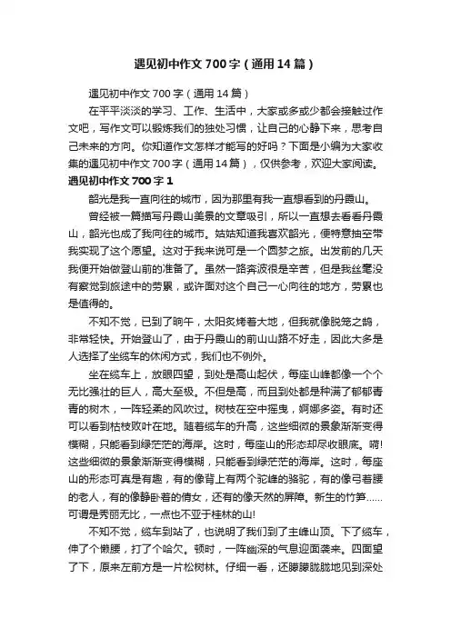 遇见初中作文700字（通用14篇）