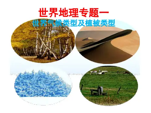 高中区域地理--世界气候和自然景观(正式课件)