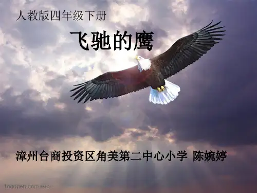 部编小学音乐四年级《飞驰的鹰》陈婉婷PPT课件 一等奖新名师优质公开课获奖比赛人教
