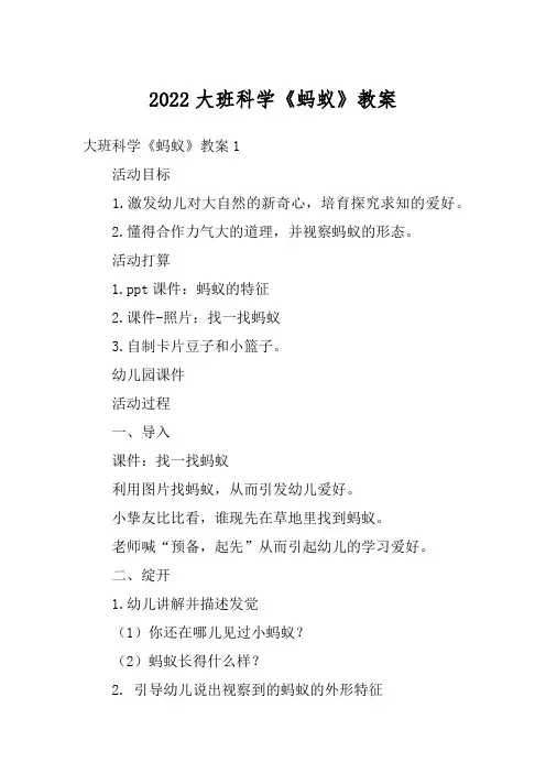 2022大班科学《蚂蚁》教案
