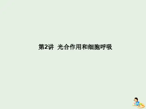2020版高考生物二轮复习专题二细胞的代谢2光合作用和细胞呼吸课件