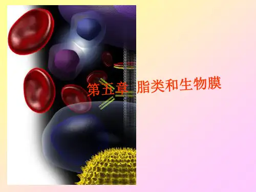 第五章 脂类和生物膜