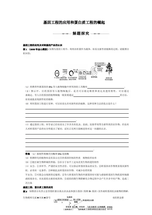 基因工程的应用和蛋白质工程的崛起.