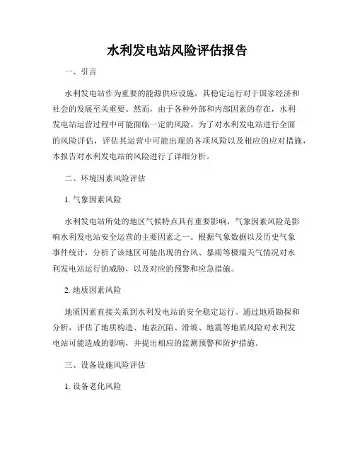 水利发电站风险评估报告