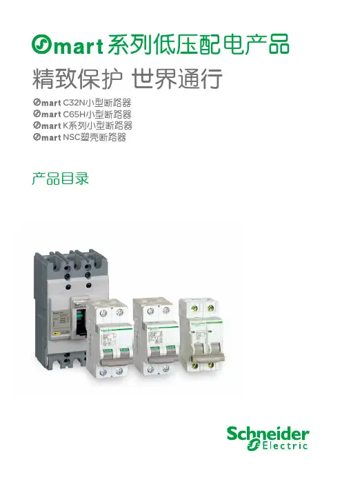 施耐德osmart断路器选项手册