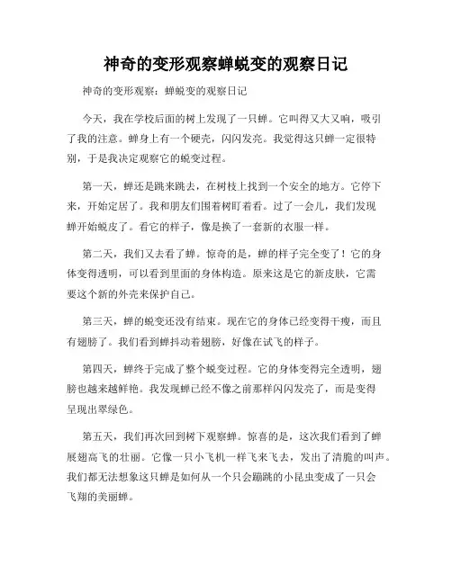 小学三年级作文神奇的变形观察蝉蜕变的观察日记