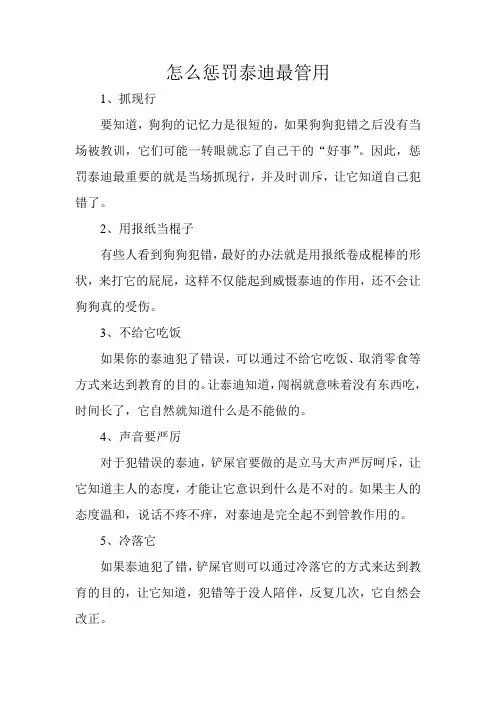 怎么惩罚泰迪最管用