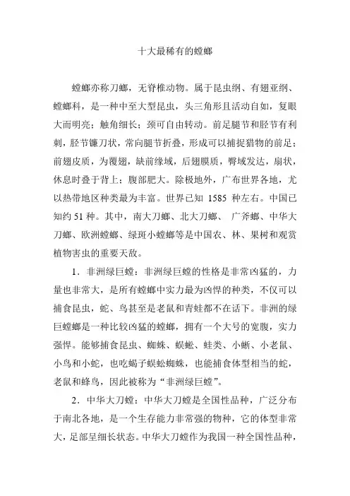 十大最稀有的螳螂