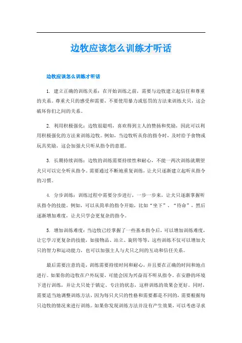 边牧应该怎么训练才听话