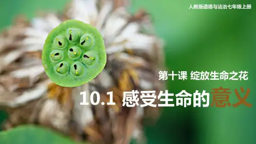 七年级道德与法治(上)感受生命的意义优质PPT部编版5