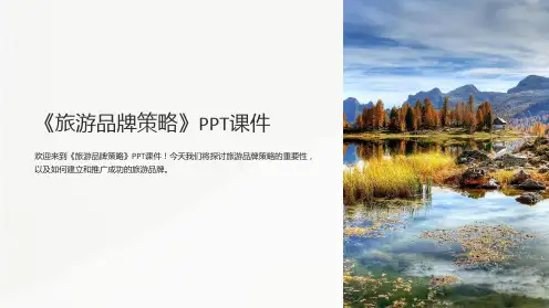 《旅游品牌策略》课件