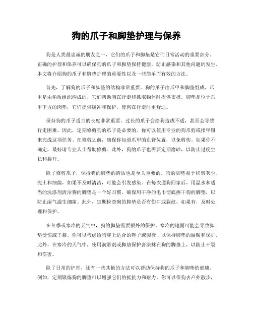 狗的爪子和脚垫护理与保养