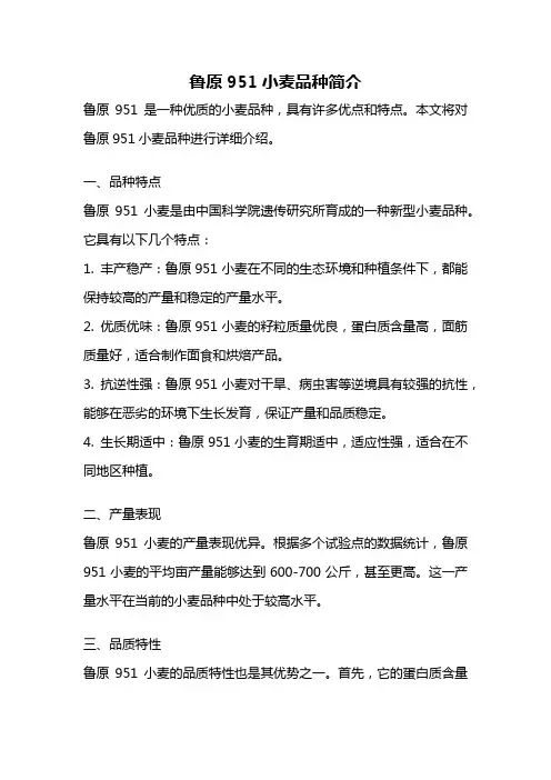 鲁原951小麦品种简介