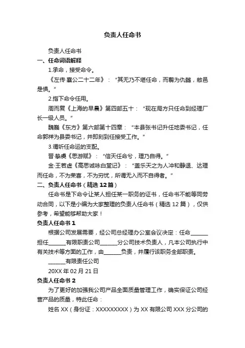 负责人任命书（精选12篇）